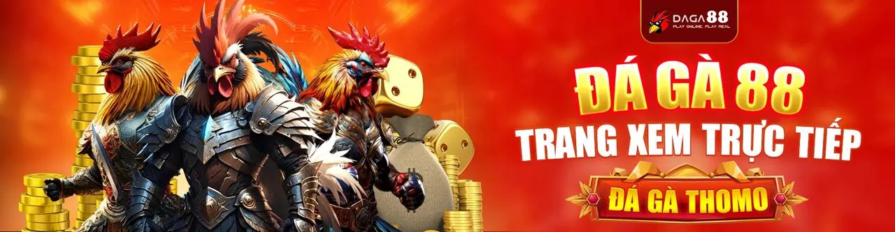 Đá Gà Trực Tuyến Hấp Dẫn tại win55red