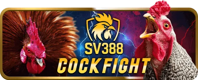 Hỗ trợ khách hàng win55red